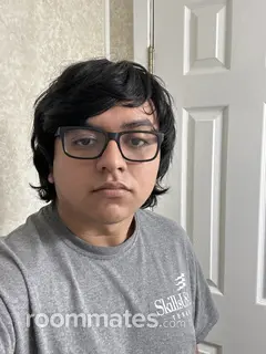 Roommate looking Weslaco, TX, $800