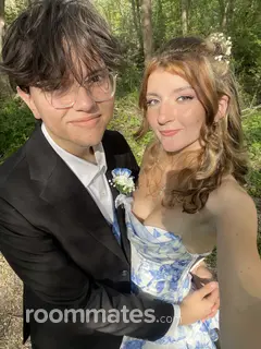 Roommate looking Normal, IL, $800