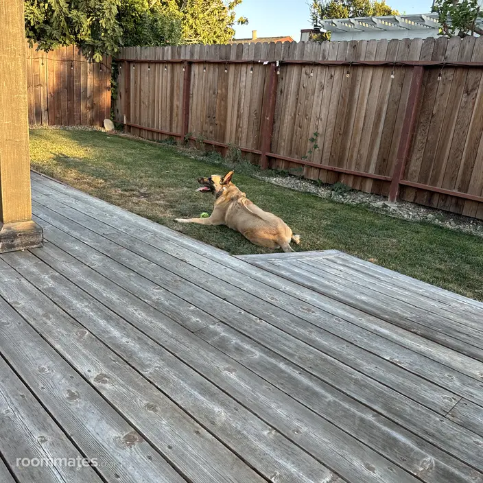 Room for rent in Suisun City, CA $1600, house
