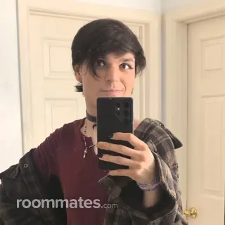 Roommate looking Philadelphia, PA, $800