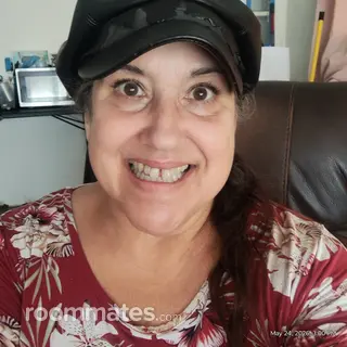 Roommate looking Clearwater, FL, $900