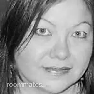 Roommate looking Bellingham, WA, $1000