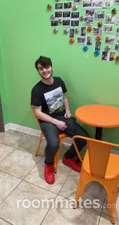 Roommate looking Ellington, CT, $900