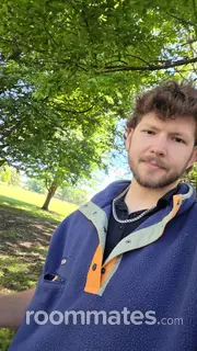 Roommate looking Normal, IL, $600