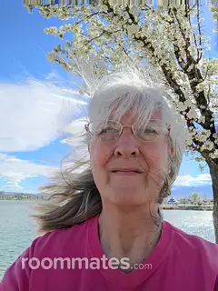Roommate looking Fernley, NV, $800