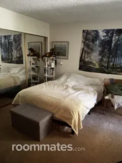 Room for rent in Petaluma, CA $1100, house