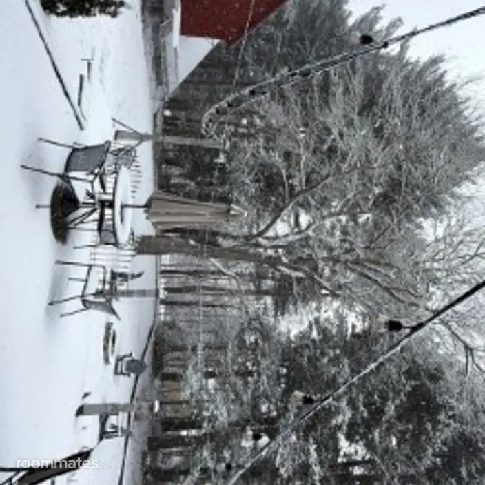 Room for rent in Suffield, CT $1000, house
