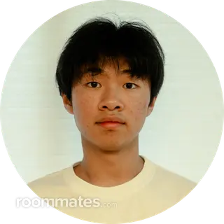 Roommate looking Torrance, CA, $1500