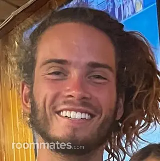 Roommate looking Kalamazoo, MI, $700