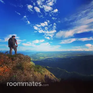 Roommate looking Colorado Springs, CO, $800