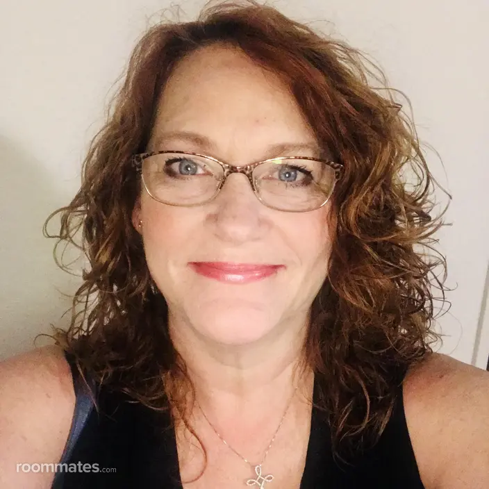 Roommate looking Conroe, TX, $1200