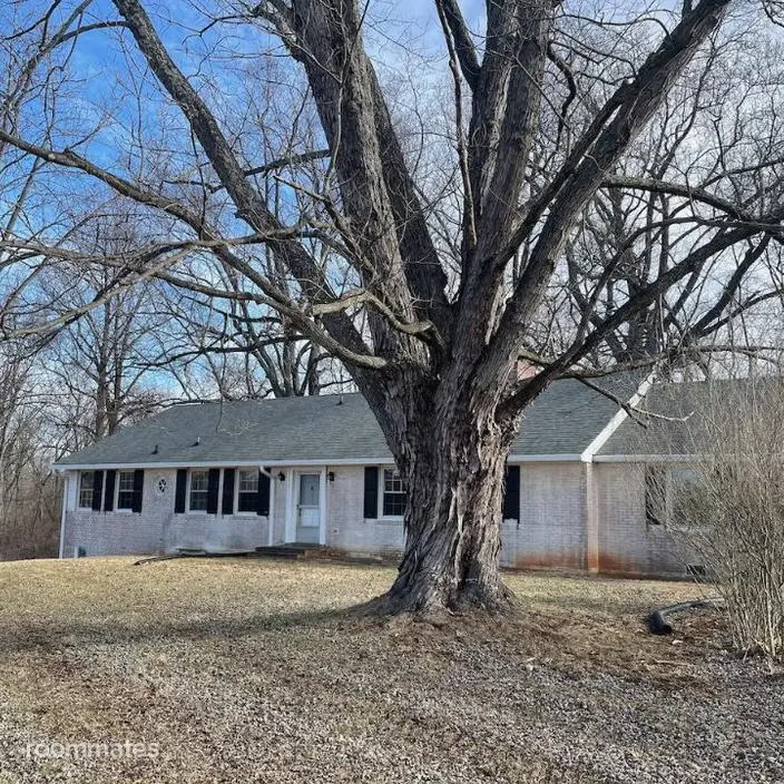 Room for rent in Middleburg, VA $800, house