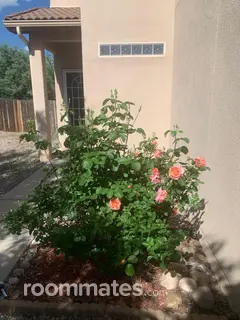 Room for rent in Santa Fe, NM $1200, house