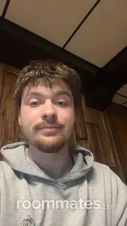 Roommate looking St. Paul, MN, $600
