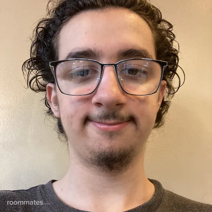 Roommate looking McKinney, TX, $1000