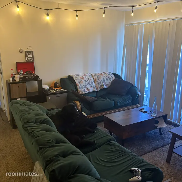 Room for rent in Excelsior, MN $700, apartment