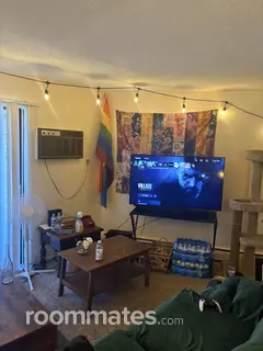 Room for rent in Excelsior, MN $700, apartment