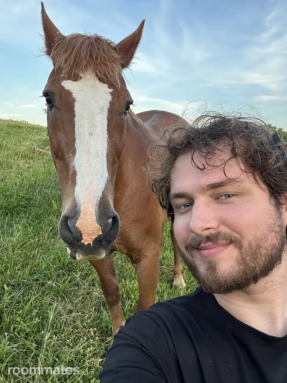 Profile photo 5 of 5