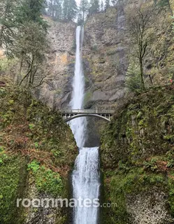Roommate looking Portland, OR, $1000