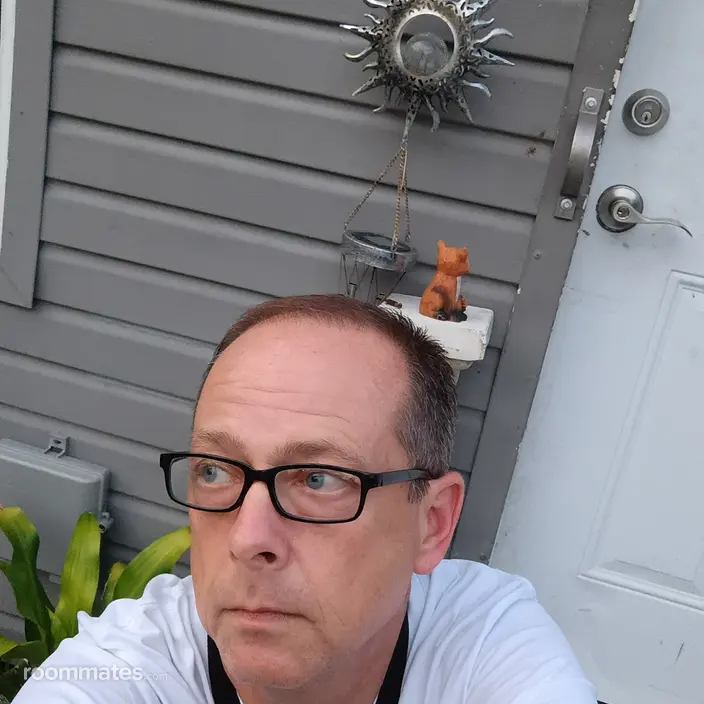 Roommate looking Lealman, FL, $500