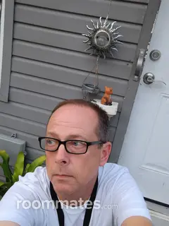 Roommate looking Lealman, FL, $500