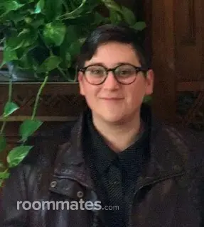 Roommate looking Watertown, MA, $1300