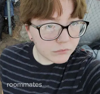 Roommate looking Seattle, WA, $1200