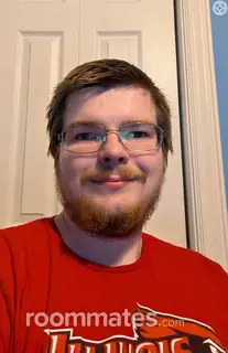 Roommate looking Normal, IL, $1000