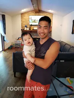 Roommate looking Novi, MI, $800