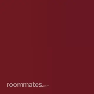 Roommate looking Gainesville, FL, $1100