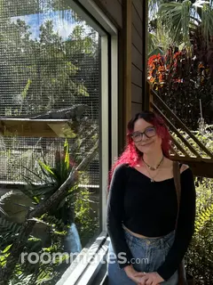 Roommate looking Bonita Springs FL, $900