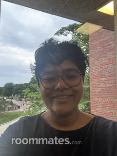 Roommate looking Amherst, MA, $900