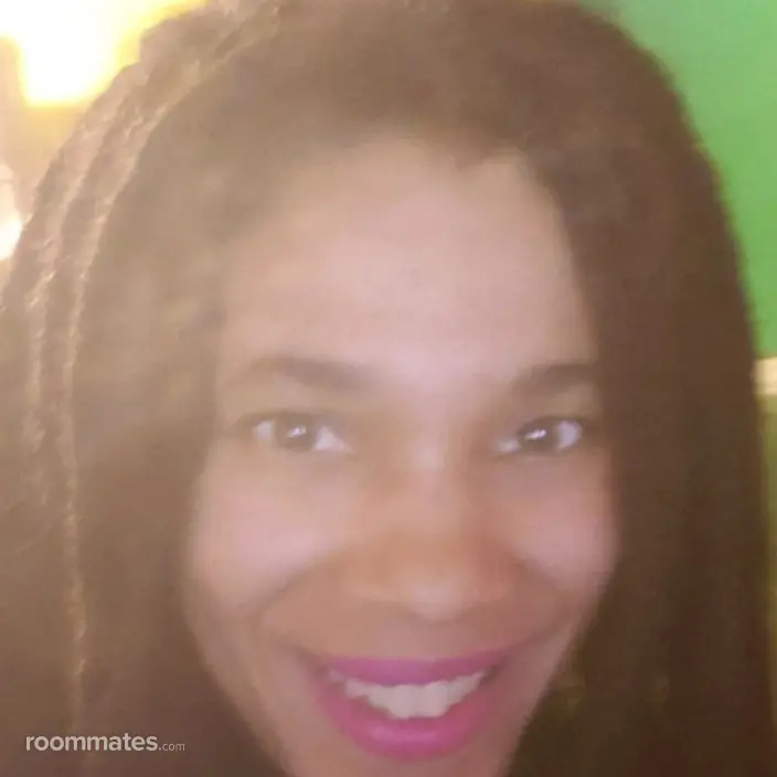 Roommate looking Chicago, IL, $1000
