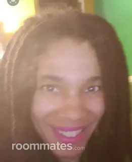 Roommate looking Chicago, IL, $600