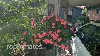 Room for rent in Madison Heights, MI $600, house