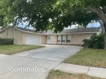 Room for rent in Palm Harbor, FL $750, house