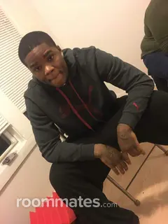 Roommate looking Chicago, IL, $500