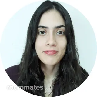 Roommate looking Miami Beach, FL, $1000