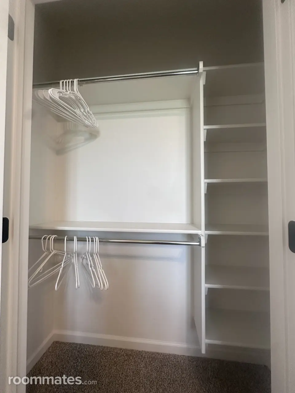 Profile photo 8 of 11