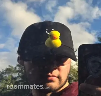 Roommate looking Billerica, MA, $1200