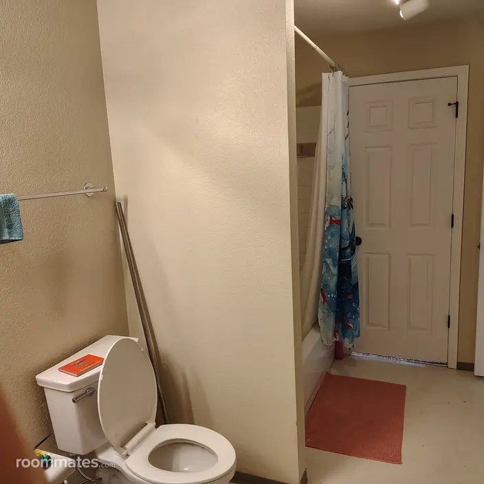 Room for rent in Fort Collins, CO $800, condo