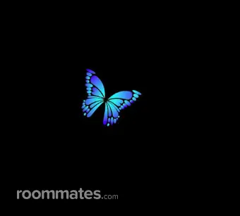 Roommate looking Chandler, AZ, $800
