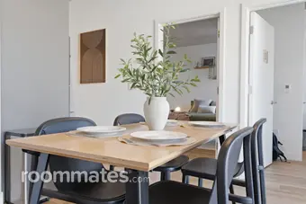 Room for rent in Chicago, IL $1235, apartment