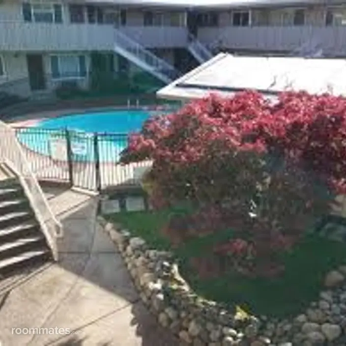 Room for rent in Walnut Creek, CA $1240, apartment