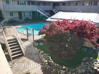 Room for rent in Walnut Creek, CA $1240, apartment
