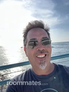 Roommate looking St. Petersburg FL, $1300