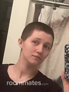 Roommate looking Elon, NC, $900
