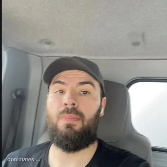 Roommate looking Ferndale, MI, $1000