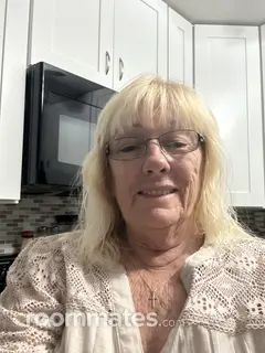 Roommate looking Port Orange, FL, $600