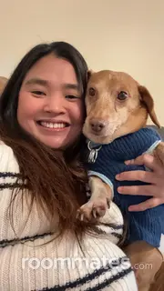 Roommate looking Palatine, IL, $800